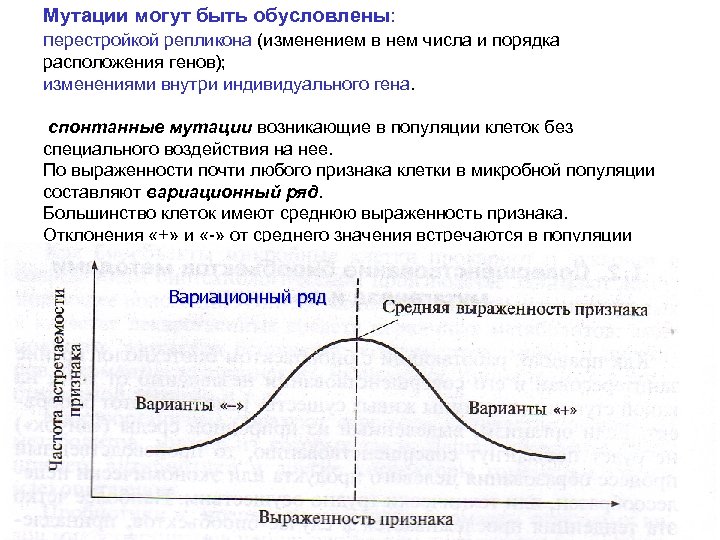 Мутации могут быть обусловлены: перестройкой репликона (изменением в нем числа и порядка расположения генов);