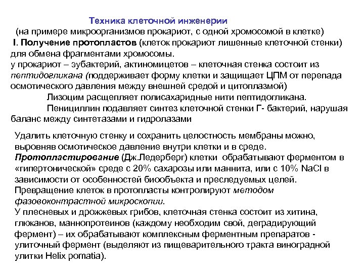  Техника клеточной инженерии (на примере микроорганизмов прокариот, с одной хромосомой в клетке) I.