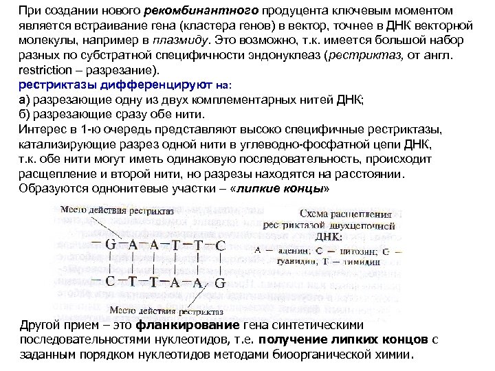 При создании нового рекомбинантного продуцента ключевым моментом является встраивание гена (кластера генов) в вектор,