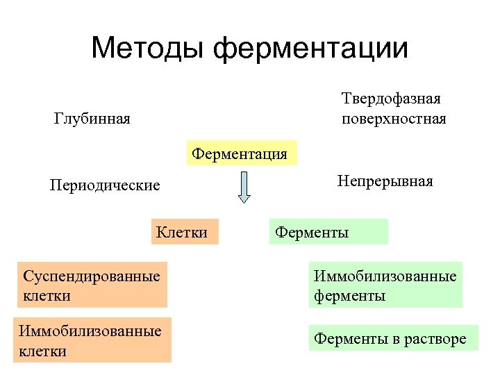 Методы ферментации Твердофазная поверхностная Глубинная Ферментация Периодические Клетки Непрерывная Ферменты Суспендированные клетки Иммобилизованные ферменты