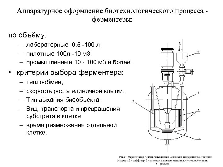 Аппаратурное оформление биотехнологического процесса ферментеры: по объёму: – лабораторные 0, 5 -100 л, –