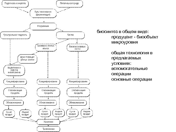 биосинтез в общем виде: продуцент - биообъект микроуровня общая технология в предлагаемых условиях: вспомогательные