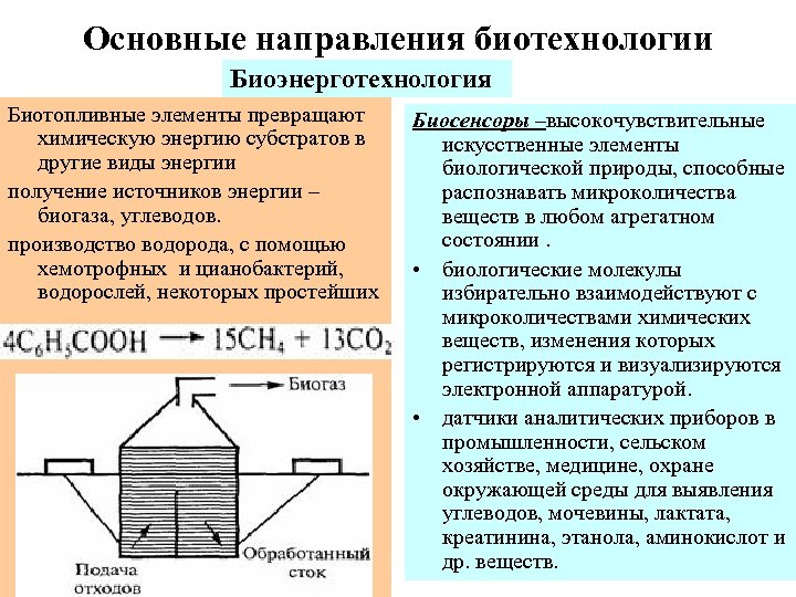 Основные направления биотехнологии Биоэнерготехнология Биотопливные элементы превращают химическую энергию субстратов в другие виды энергии