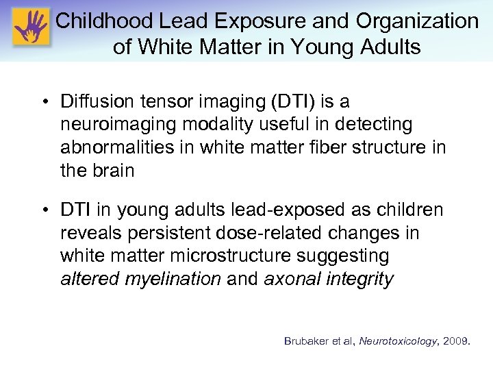 Childhood Lead Exposure and Organization of White Matter in Young Adults • Diffusion tensor