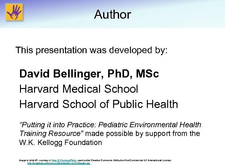Author This presentation was developed by: David Bellinger, Ph. D, MSc Harvard Medical School