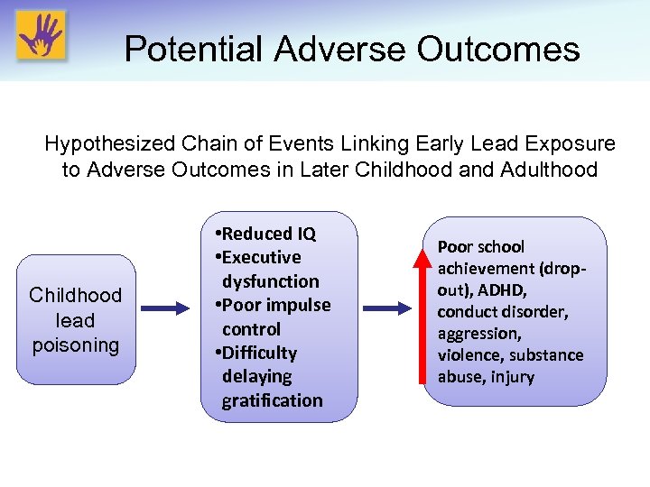 Potential Adverse Outcomes Hypothesized Chain of Events Linking Early Lead Exposure to Adverse Outcomes