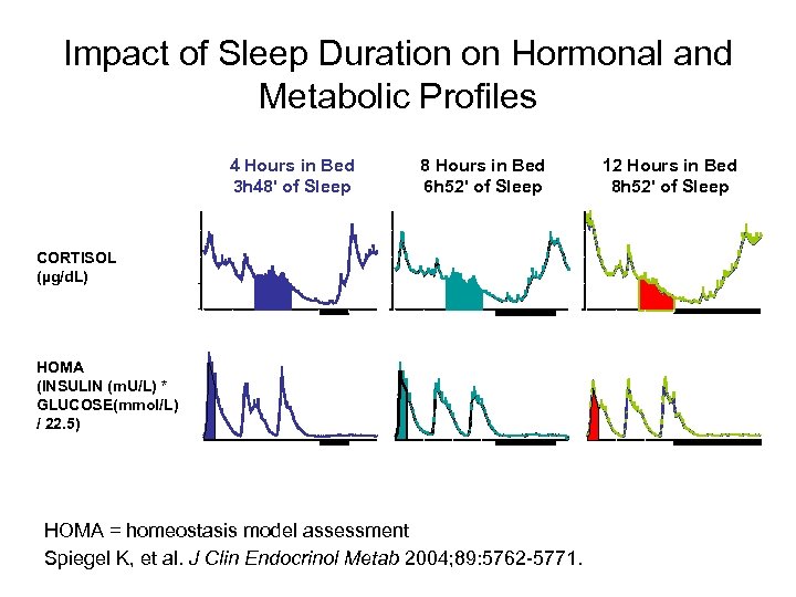 Impact of Sleep Duration on Hormonal and Metabolic Profiles 4 Hours in Bed 3