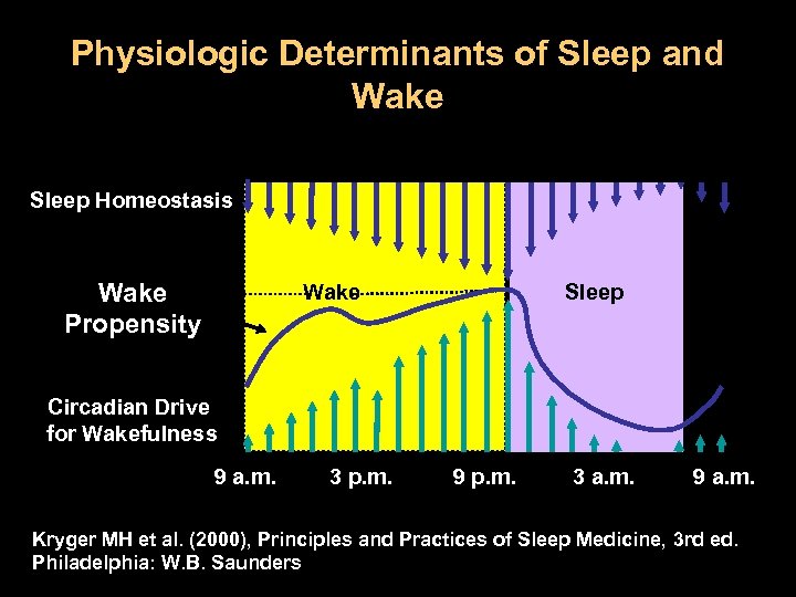 Physiologic Determinants of Sleep and Wake Sleep Homeostasis Wake Propensity Wake Sleep Circadian Drive