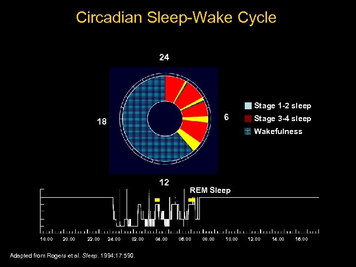 Circadian Sleep-Wake Cycle 24 24 REM sleep Stage 1 -2 sleep 6 6 18