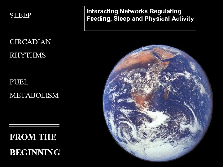 SLEEP CIRCADIAN RHYTHMS FUEL METABOLISM FROM THE BEGINNING Interacting Networks Regulating Feeding, Sleep and