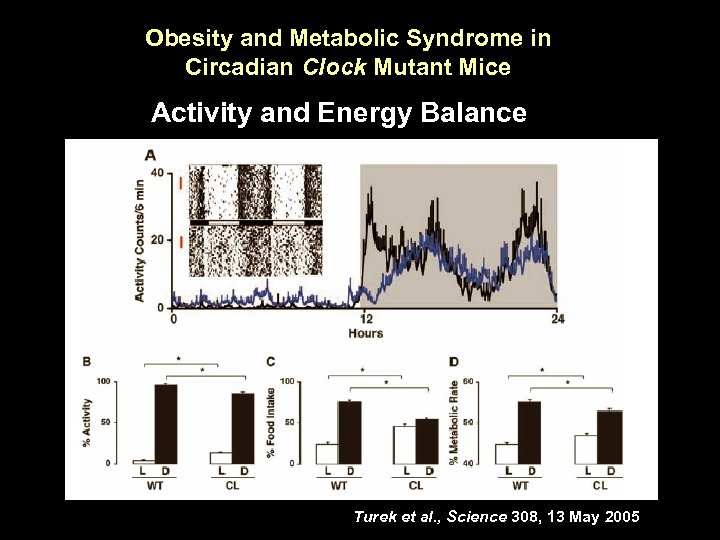 Obesity and Metabolic Syndrome in Circadian Clock Mutant Mice Activity and Energy Balance Turek