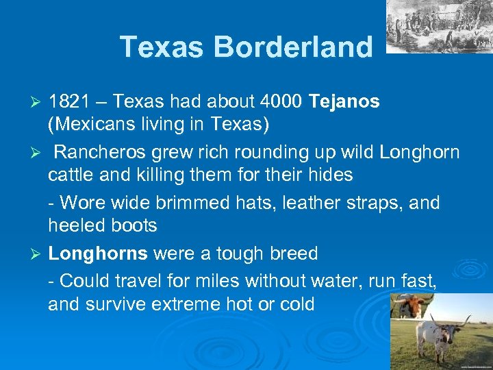 Texas Borderland 1821 – Texas had about 4000 Tejanos (Mexicans living in Texas) Ø