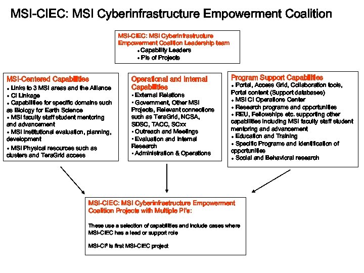 MSI-CIEC: MSI Cyberinfrastructure Empowerment Coalition Leadership team · Capability Leaders · PIs of Projects