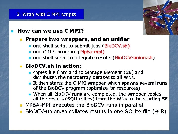 C MP I 3. Wrap with C MPI scripts n How can we use
