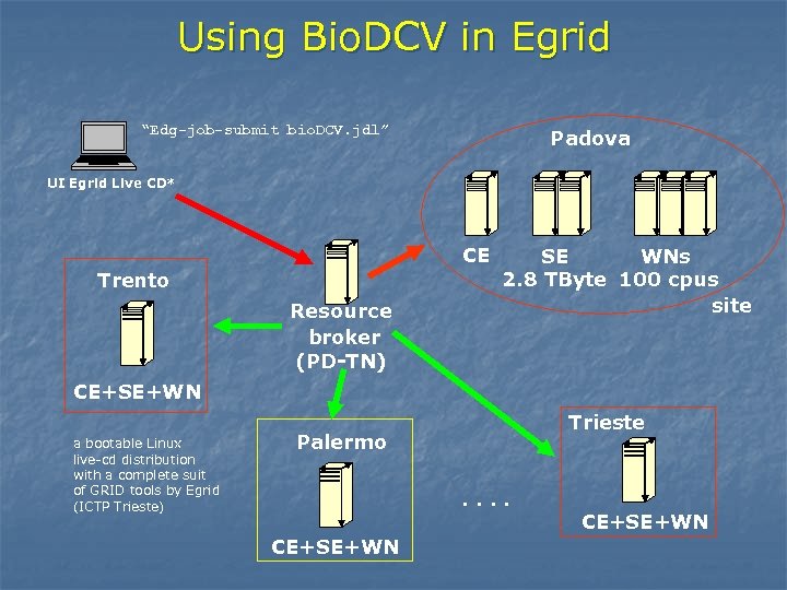 Using Bio. DCV in Egrid “Edg-job-submit bio. DCV. jdl” Padova UI Egrid Live CD*