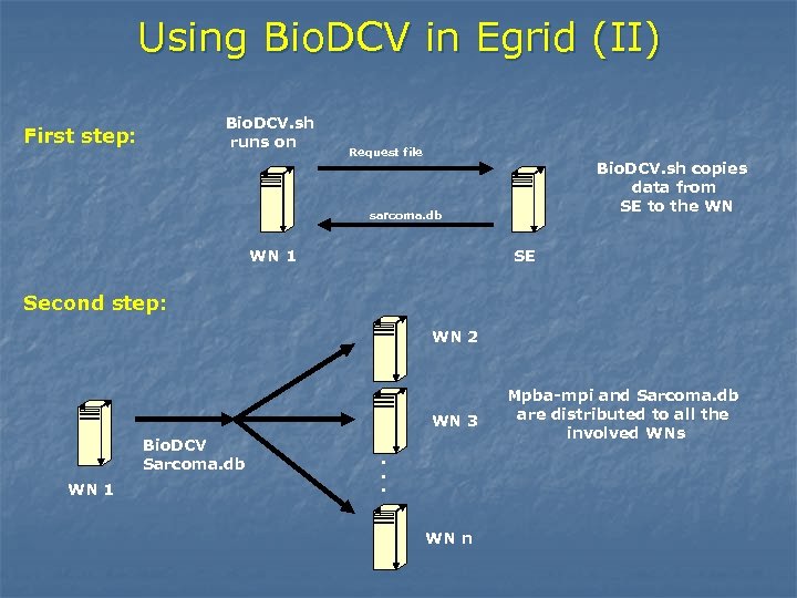 Using Bio. DCV in Egrid (II) Bio. DCV. sh runs on First step: Request