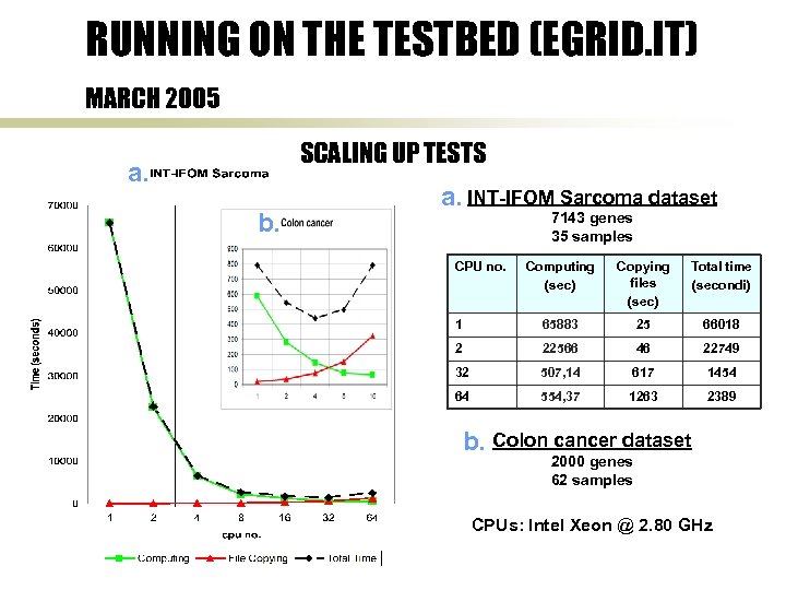 RUNNING ON THE TESTBED (EGRID. IT) MARCH 2005 SCALING UP TESTS a. b. a.