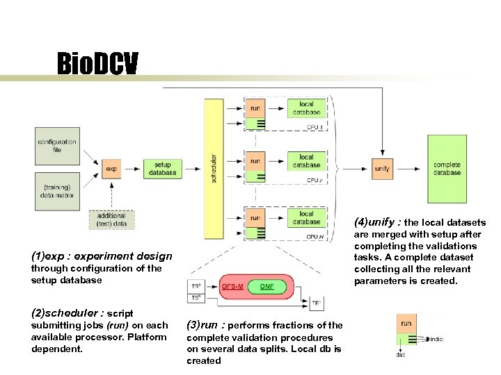 Bio. DCV (4)unify : the local datasets are merged with setup after completing the