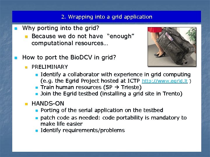 2. Wrapping into a grid application n n Why porting into the grid? n