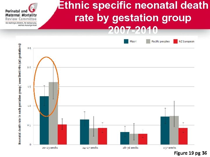 Ethnic specific neonatal death rate by gestation group 2007 -2010 Figure 19 pg 36