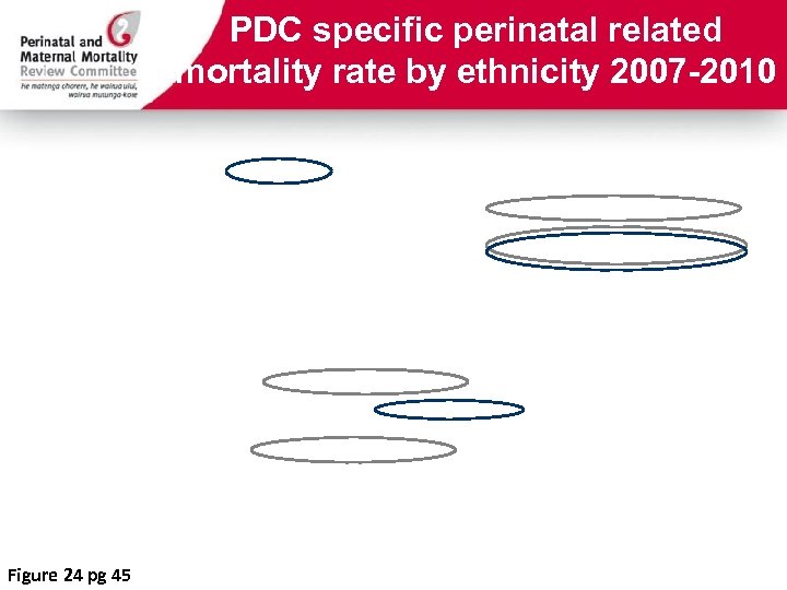 PDC specific perinatal related mortality rate by ethnicity 2007 -2010 Figure 24 pg 45