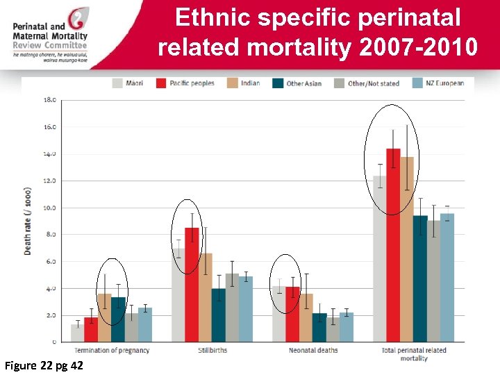 Ethnic specific perinatal related mortality 2007 -2010 Figure 22 pg 42 