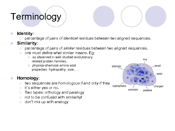 Terminology l Identity: ¡ l percentage of pairs of identical residues between two aligned