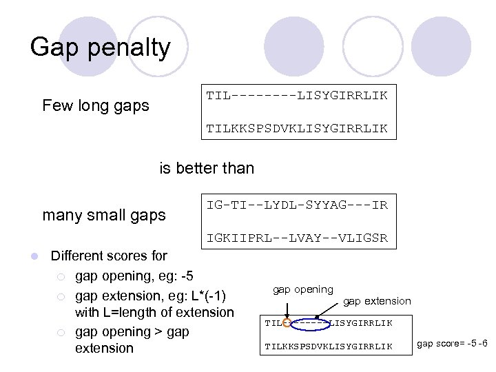 Gap penalty TIL----LISYGIRRLIK Few long gaps TILKKSPSDVKLISYGIRRLIK is better than many small gaps IG-TI--LYDL-SYYAG---IR