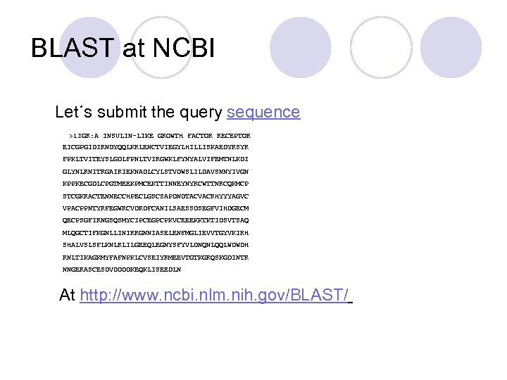 BLAST at NCBI Let´s submit the query sequence >1 IGR: A INSULIN-LIKE GROWTH FACTOR