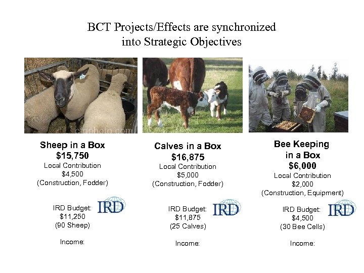 BCT Projects/Effects are synchronized into Strategic Objectives Sheep in a Box $15, 750 Calves