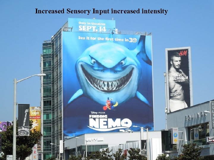 Increased Sensory Input increased intensity 