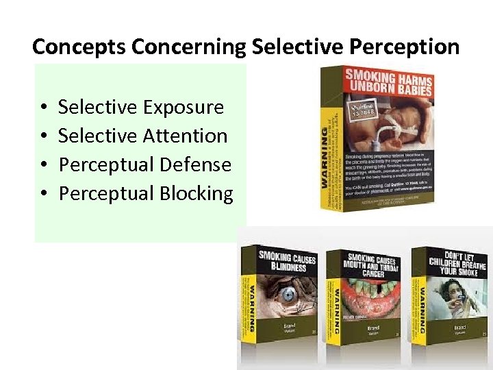 Concepts Concerning Selective Perception • • Selective Exposure Selective Attention Perceptual Defense Perceptual Blocking