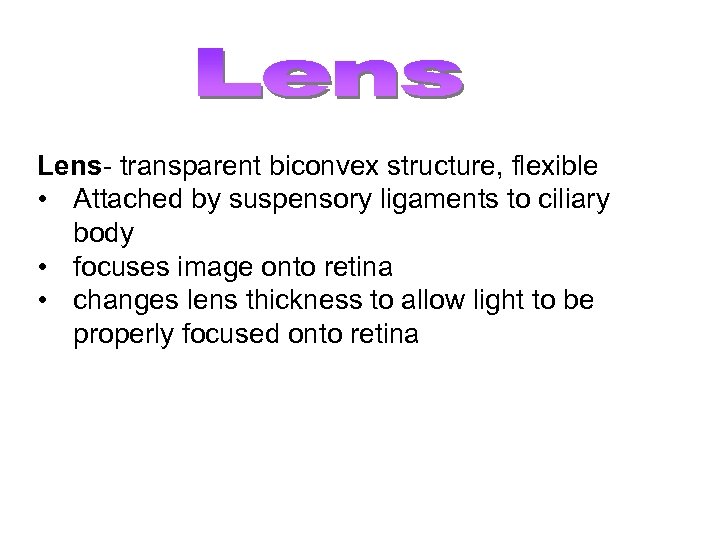 Lens- transparent biconvex structure, flexible • Attached by suspensory ligaments to ciliary body •
