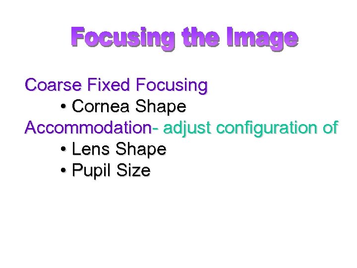 Coarse Fixed Focusing • Cornea Shape Accommodation- adjust configuration of • Lens Shape •