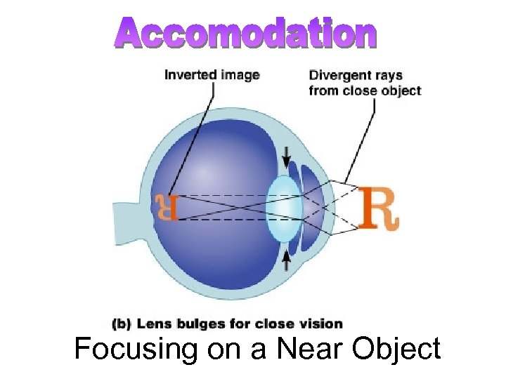 Focusing on a Near Object 