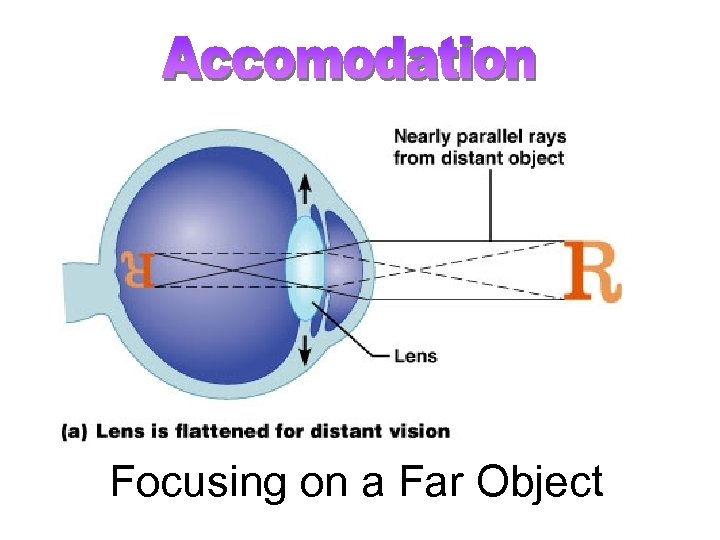 Focusing on a Far Object 