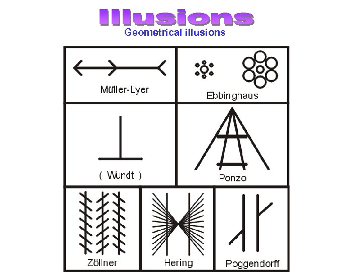 Geometrical illusions 