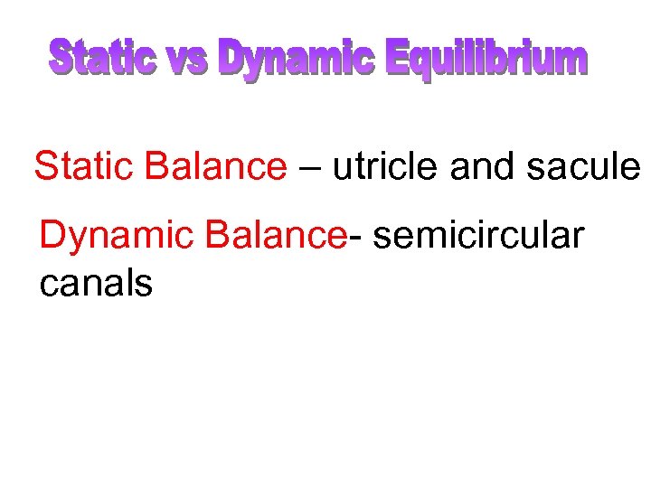 Static Balance – utricle and sacule Dynamic Balance- semicircular canals 