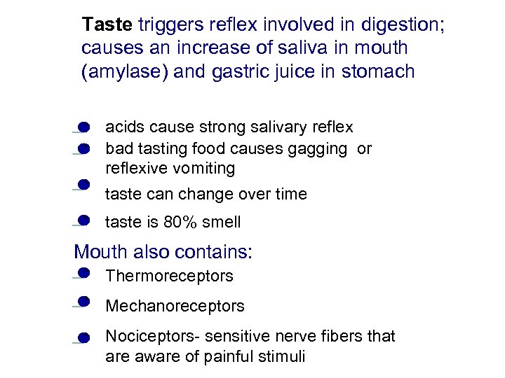 Taste triggers reflex involved in digestion; causes an increase of saliva in mouth (amylase)