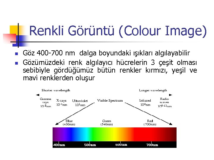 Renkli Görüntü (Colour Image) n n Göz 400 -700 nm dalga boyundaki ışıkları algılayabilir