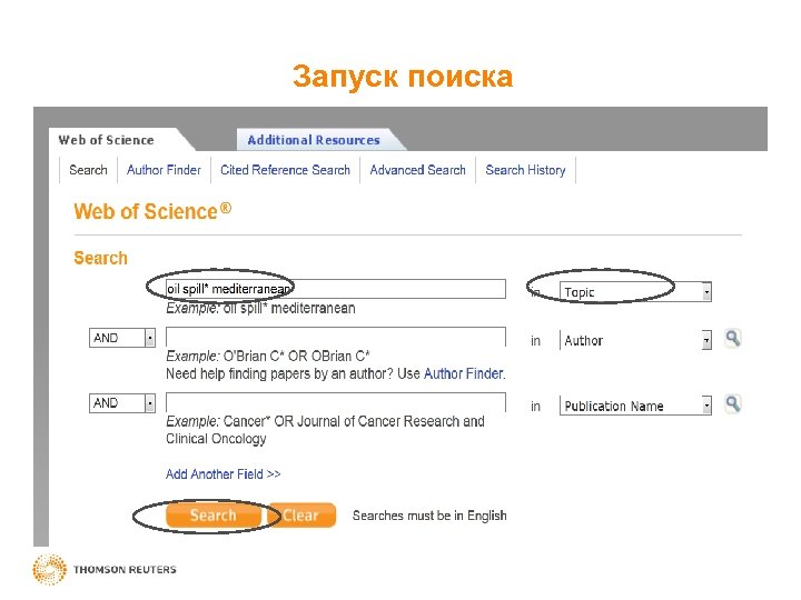 Запуск поиска 