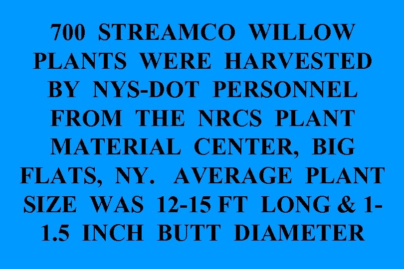 700 STREAMCO WILLOW PLANTS WERE HARVESTED BY NYS-DOT PERSONNEL FROM THE NRCS PLANT MATERIAL