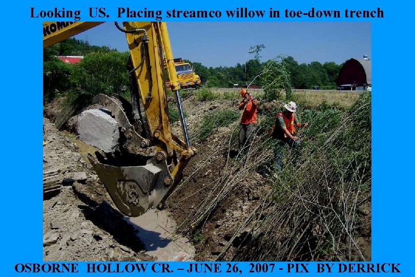 Looking US. Placing streamco willow in toe-down trench OSBORNE HOLLOW CR. – JUNE 26,