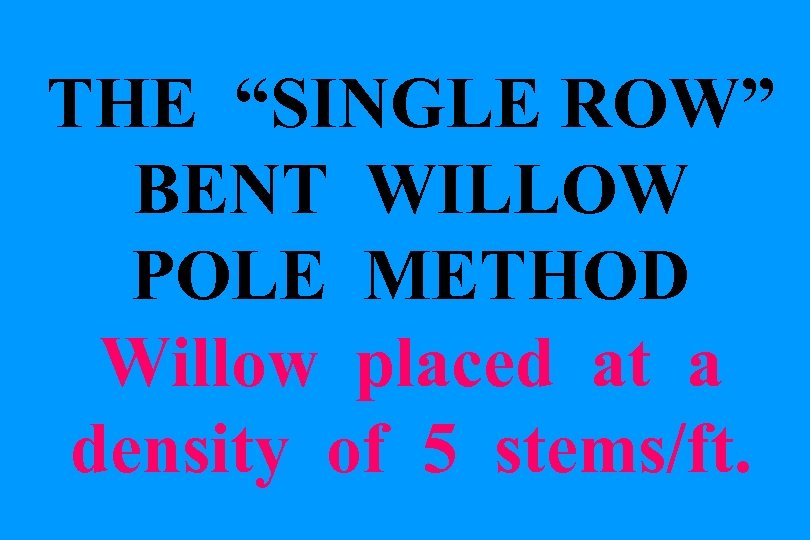 THE “SINGLE ROW” BENT WILLOW POLE METHOD Willow placed at a density of 5