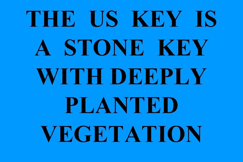 THE US KEY IS A STONE KEY WITH DEEPLY PLANTED VEGETATION 