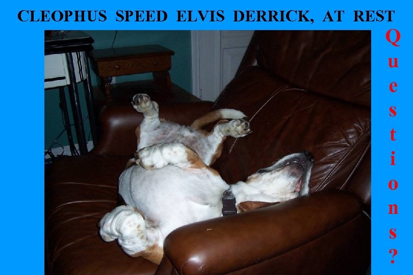 CLEOPHUS SPEED ELVIS DERRICK, AT REST Q u e s t i o n