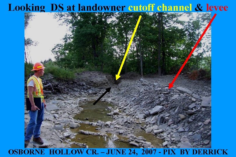 Looking DS at landowner cutoff channel & levee OSBORNE HOLLOW CR. – JUNE 24,