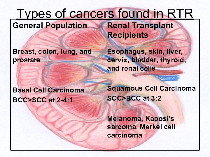 Types of cancers found in RTR General Population Renal Transplant Recipients Breast, colon, lung,