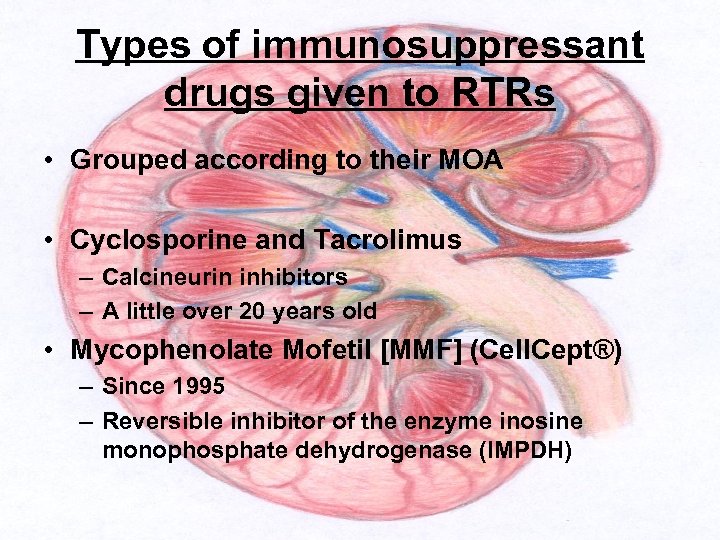 Types of immunosuppressant drugs given to RTRs • Grouped according to their MOA •
