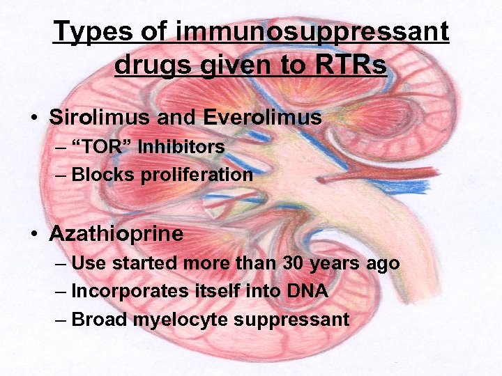 Types of immunosuppressant drugs given to RTRs • Sirolimus and Everolimus – “TOR” Inhibitors
